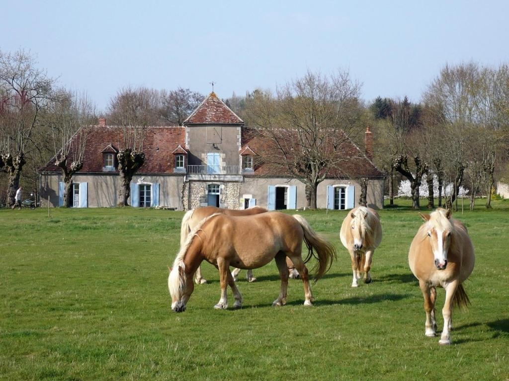 La Cuvellerie Hotel Narcy Kültér fotó